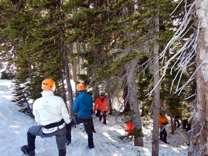 members learning techniques